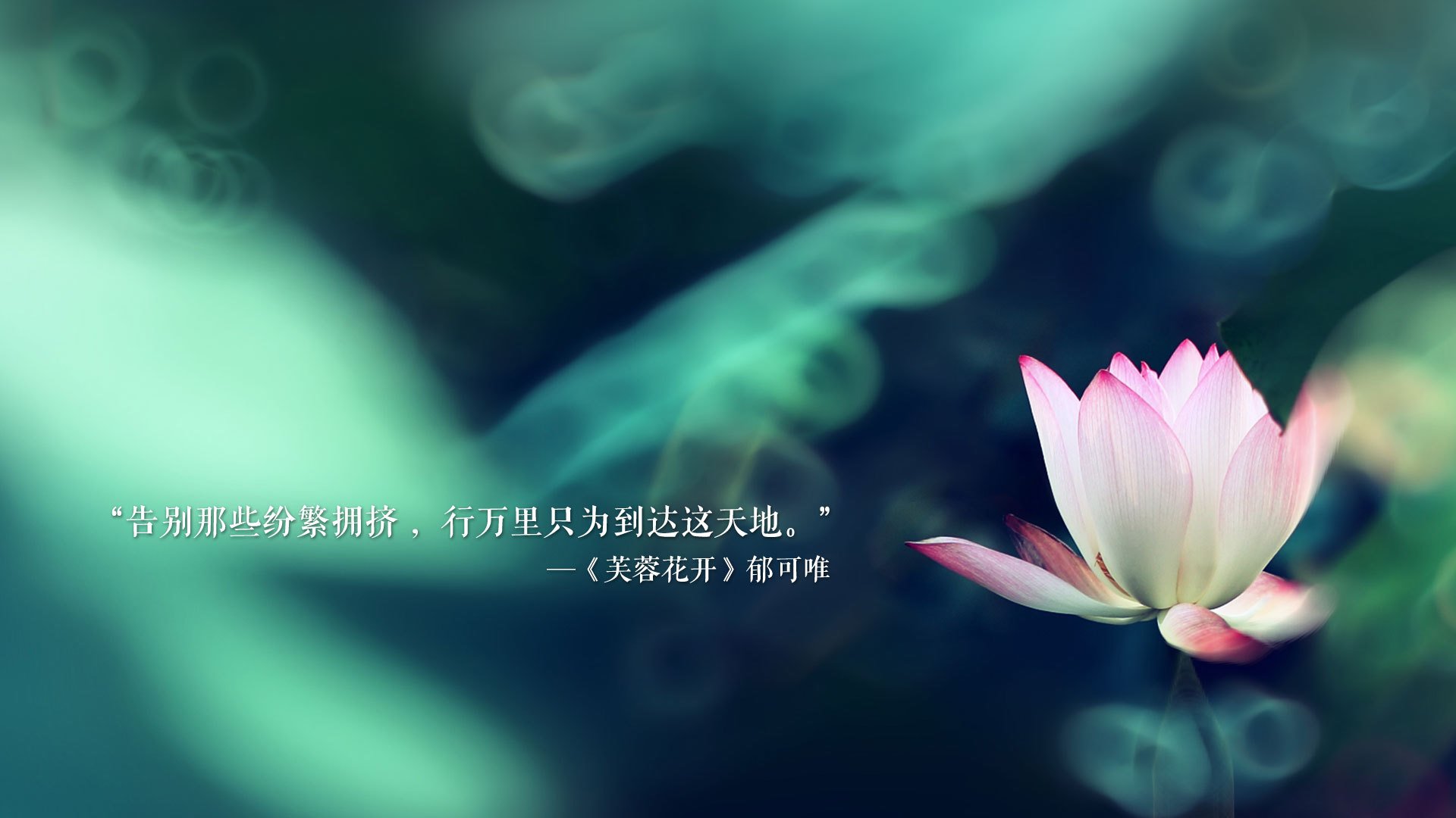 电视剧排行榜前十名古装剧有哪些（电视剧排行榜前十名古装剧有哪些名字）