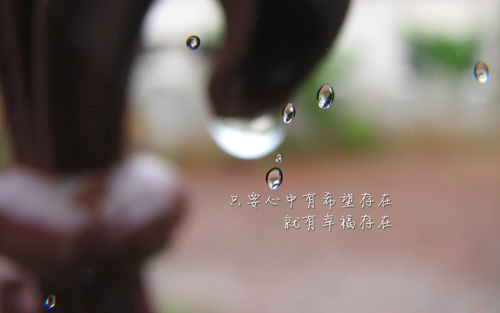 猫眼电影网视频（猫眼电影网视频资源）