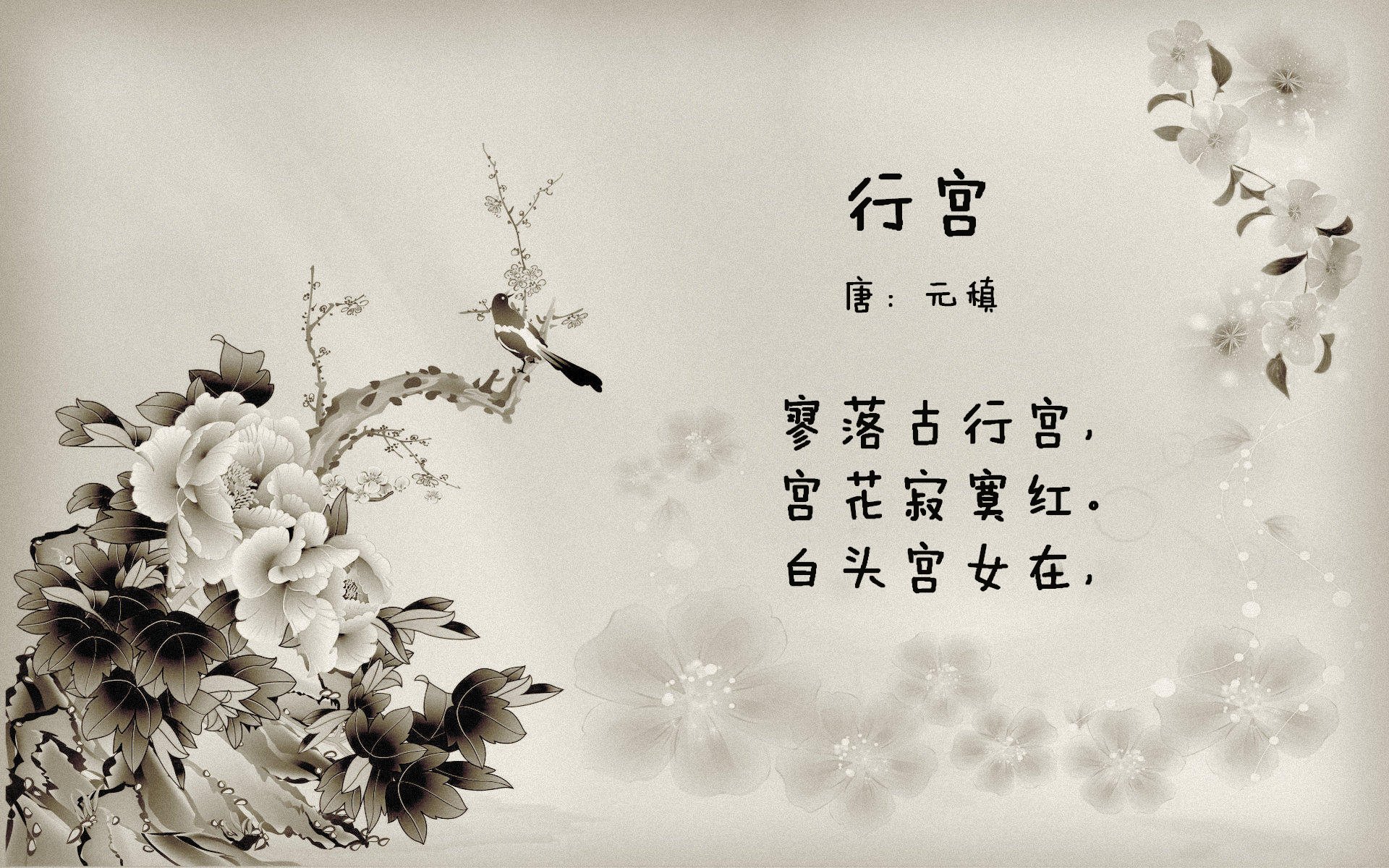 电影下载网站有哪些（十大电影下载网站排行）
